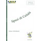 Spazi di calabi